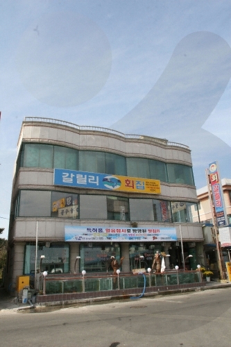 ガリラヤ刺身店
