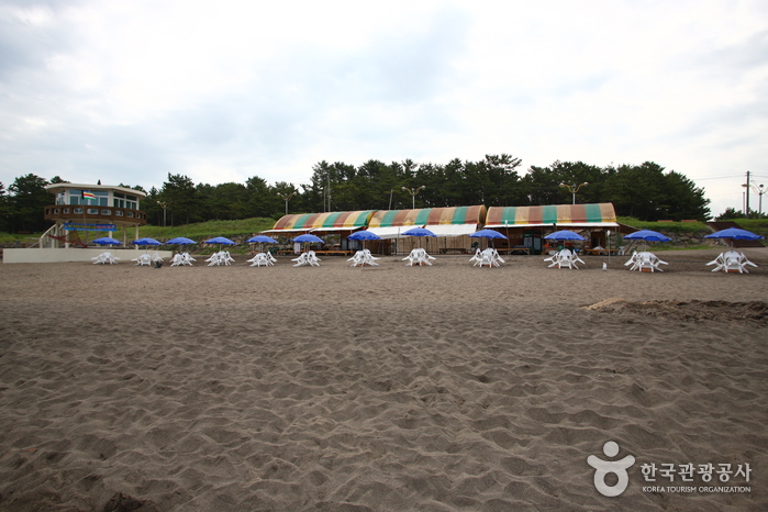 이호 테우해변 이호 테우해변