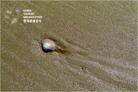 장삼포해수욕장 장삼포해수욕장