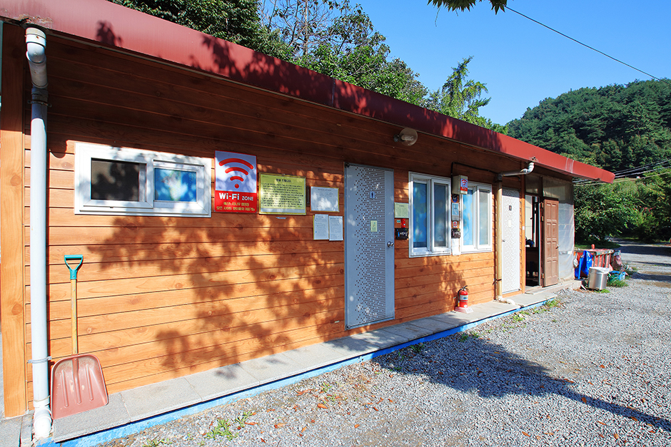 礼山榉树露营地