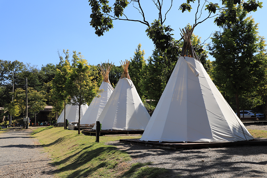 Gimpo Camping Park