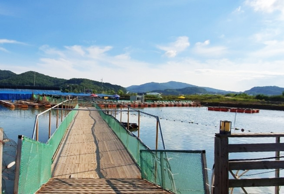 万井海座台釣り場