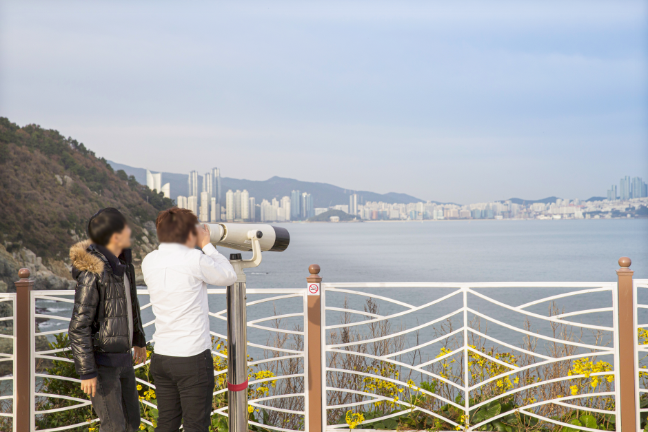 五六島Skywalk (오륙도스카이워크) : VISITKOREA