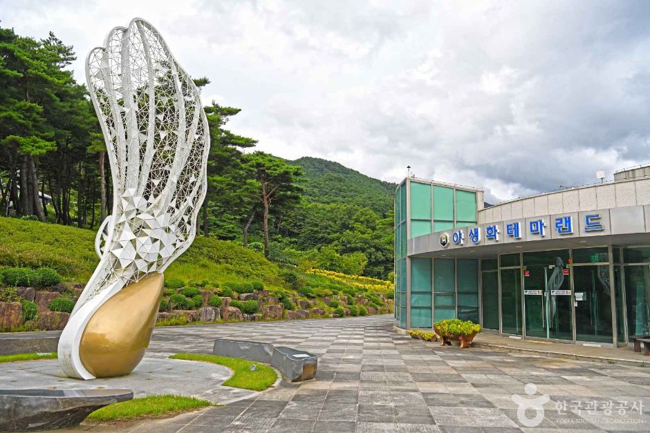 野生花主题乐园