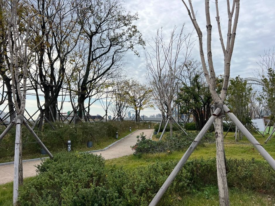 釜山北港 親水公園