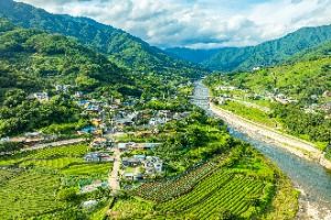 하동 삼신녹차마을