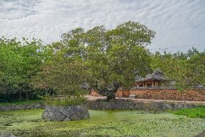 보성 이진래고택