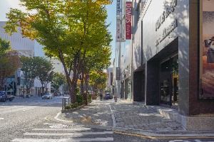 서울_논현 가구거리 (1)