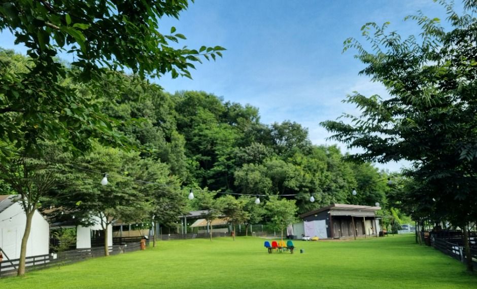 Loopani爱犬露营地