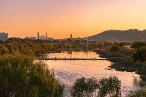 대구 하중도 (금호꽃섬)