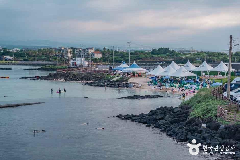 제주신흥해수욕장