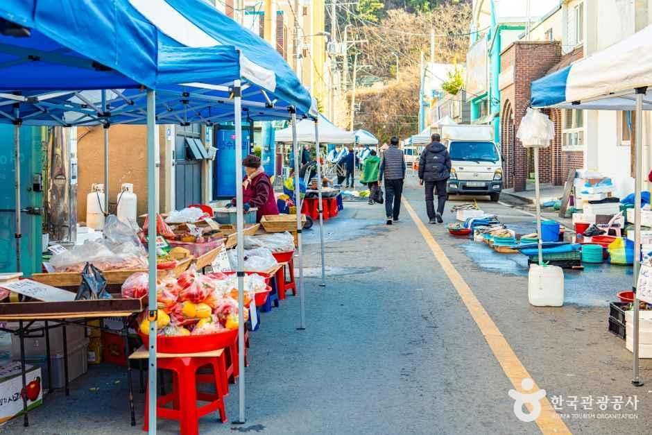 완도_완도장 (5, 10일) (3).jpg