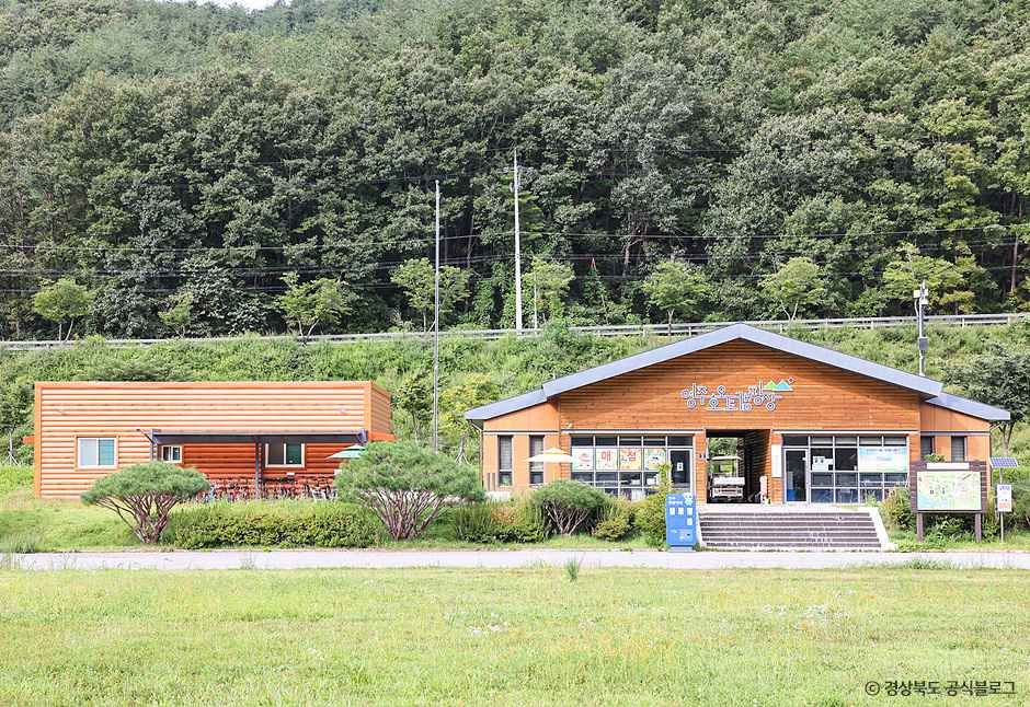 영주_ 영주호오토캠핑장 (2).jpg