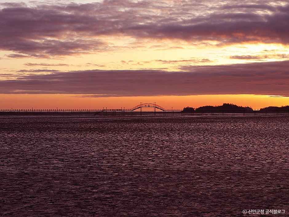 신안_[증도 모실길 1코스] 천년의 숲길 (1).jpg