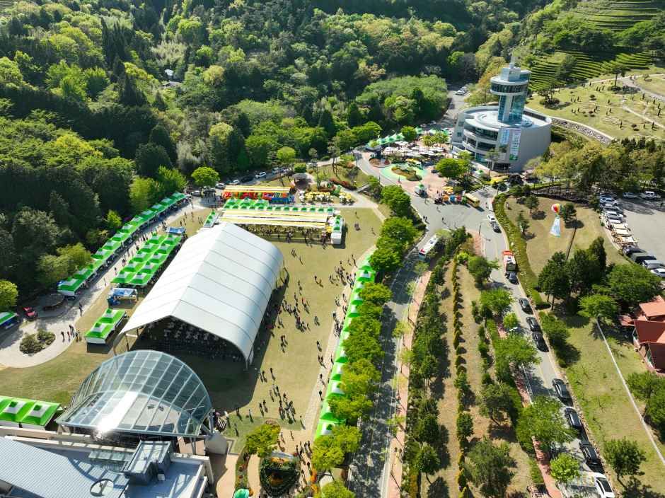 Festival del Té Verde de Boseong (보성다향대축제)