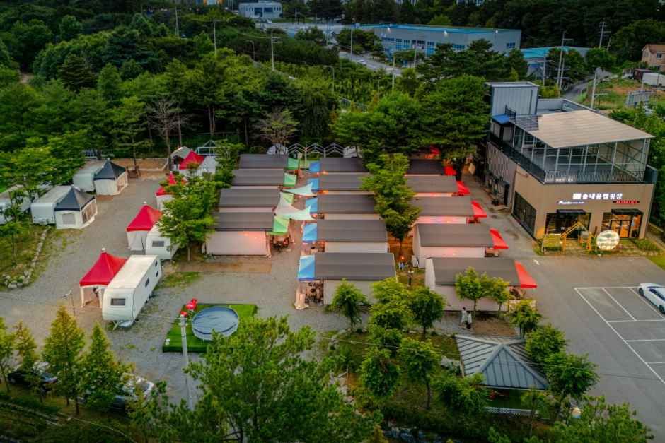 솔내음캠핑장(수원)