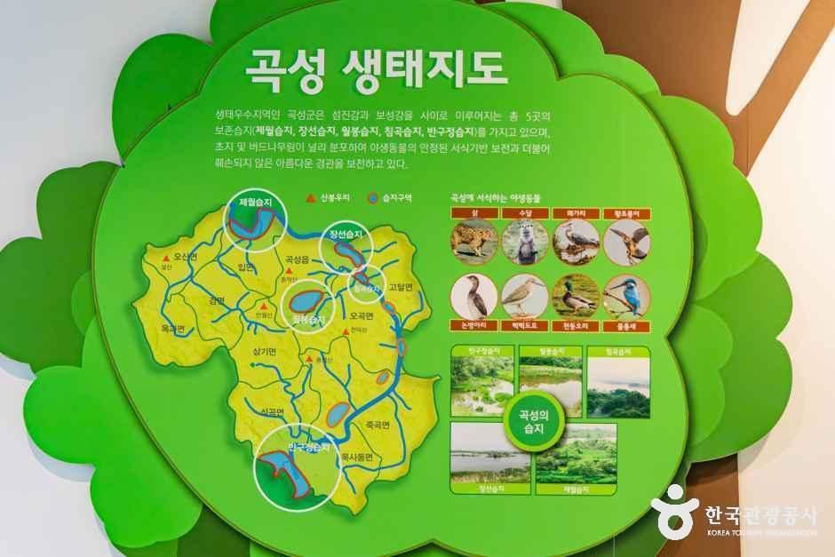 전남광주통합특별시_곡성_섬진강기차마을생태학습관_내부_3.jpg