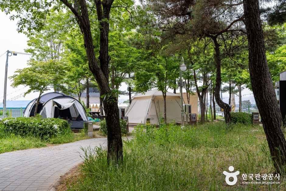 문암생태공원캠핑장