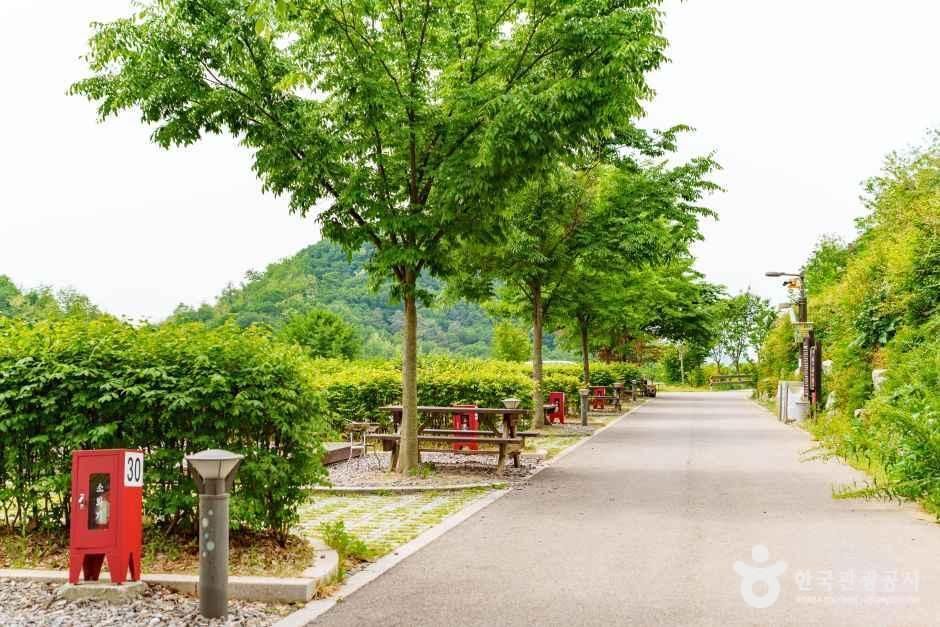 천왕산 가족캠핑장