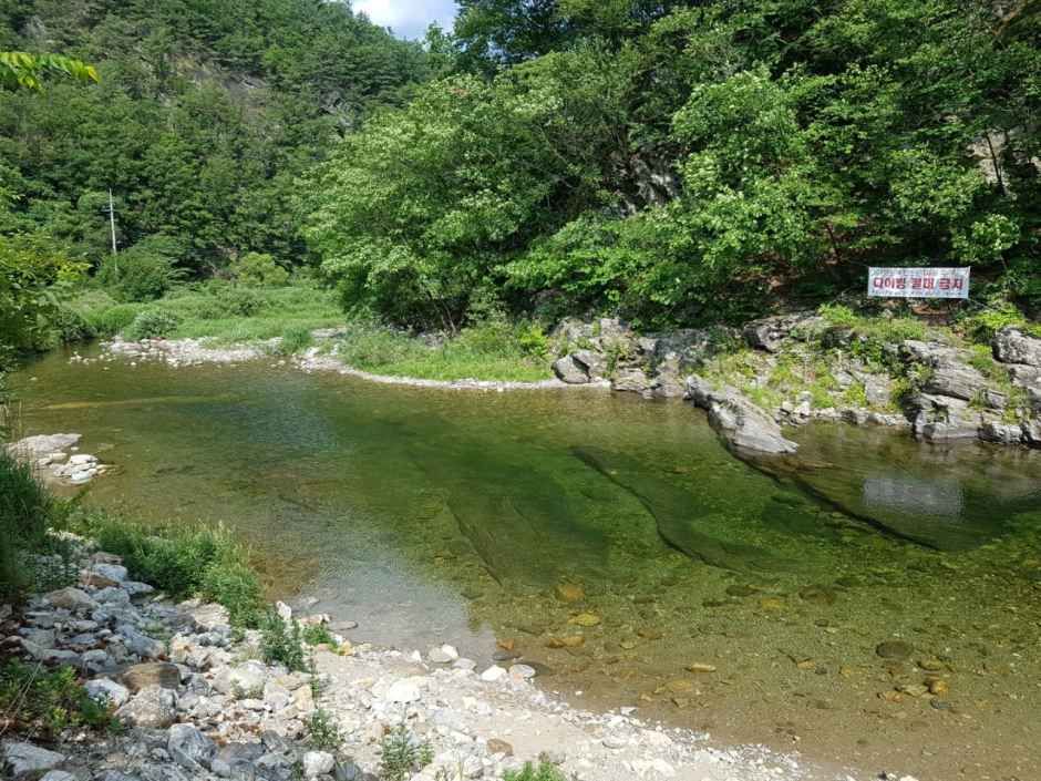 별천지야영장