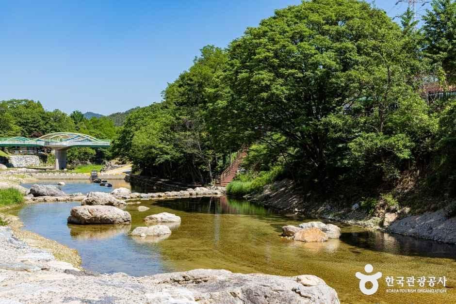 장령산자연휴양림, 방문 전 알아둘 위치와 여행 동선