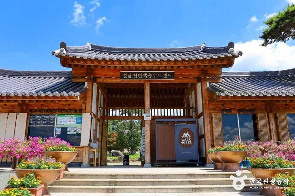 정남진 편백숲 우드랜드