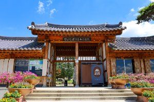 정남진 편백숲 우드랜드