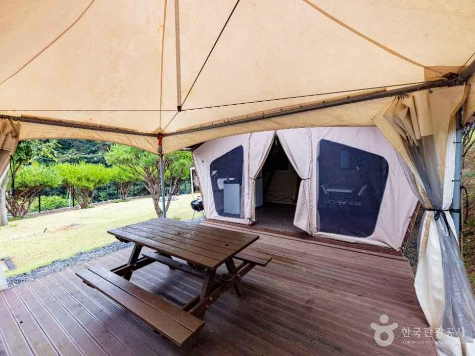 더반 힐 글램핑 사진 5