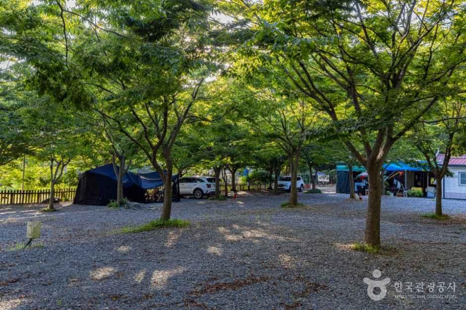 굼벵이캠핑장