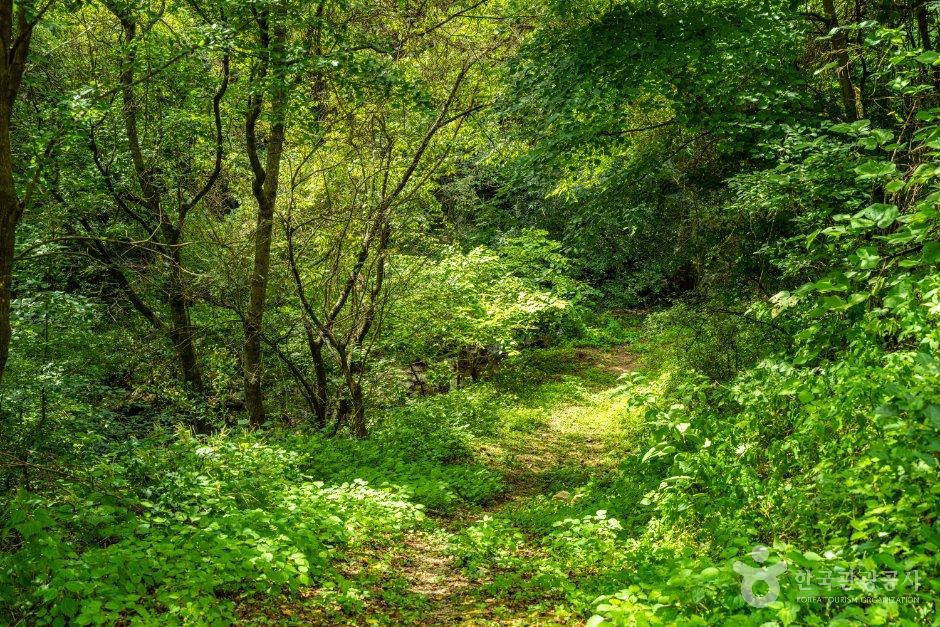 강원_원주시_치악산 명주사 (7).jpg