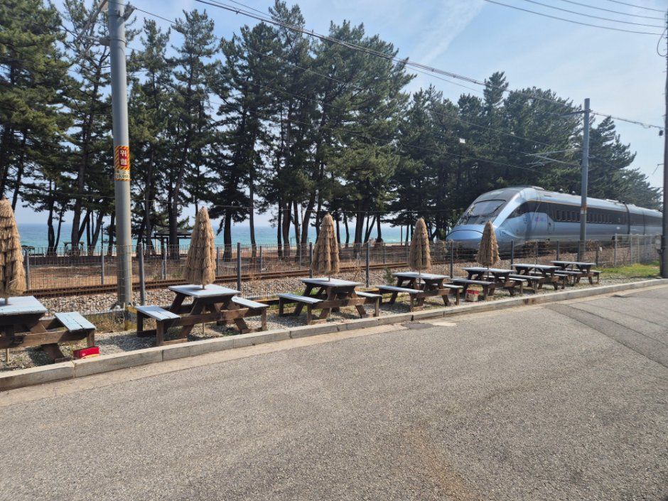 강릉_정동진 바다마을횟집 (2).jpg