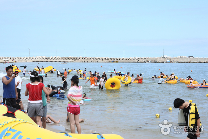 고래불해수욕장 고래불해수욕장