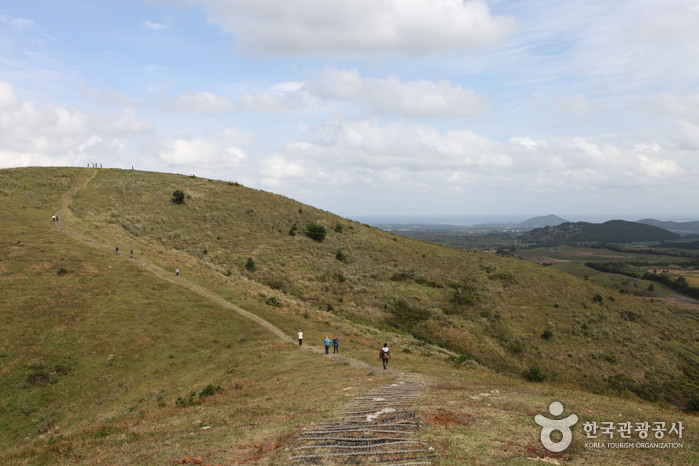 용눈이오름 용눈이오름