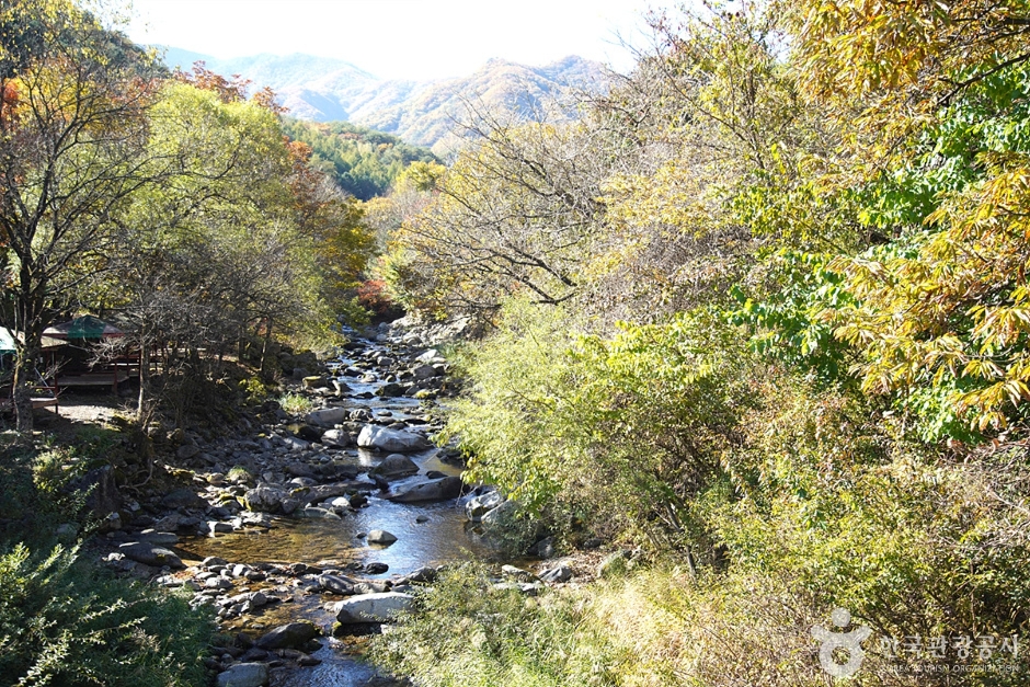 華岳山