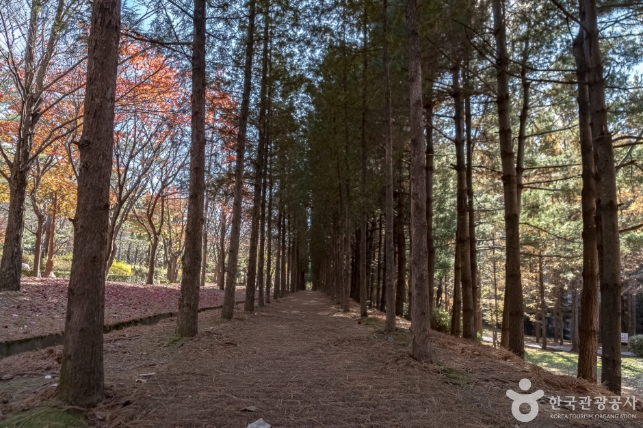 大元公園