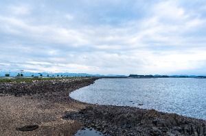 천수만(철새도래지)