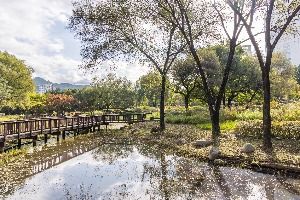 서울창포원