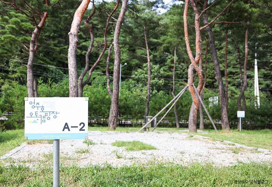 영주_ 영주호오토캠핑장 (3).jpg