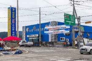 외포항 젓갈 수산물직판장