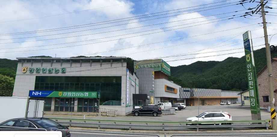 江原人参合作社
