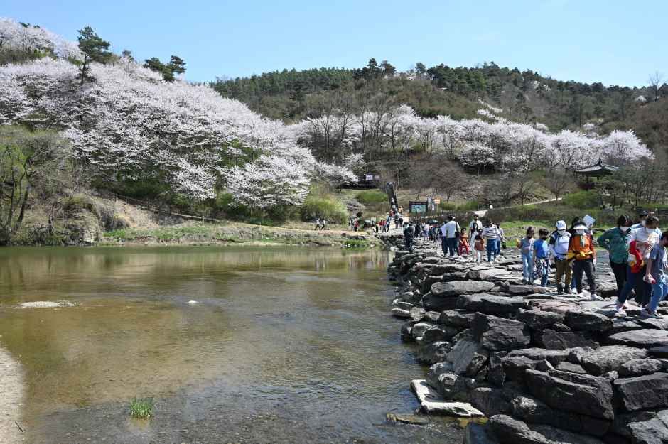 生气镇川农达里节