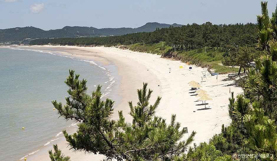 [증도 모실길 1코스] 천년의 숲길