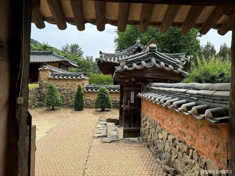 [밀양아리랑길 3코스] 금시당길