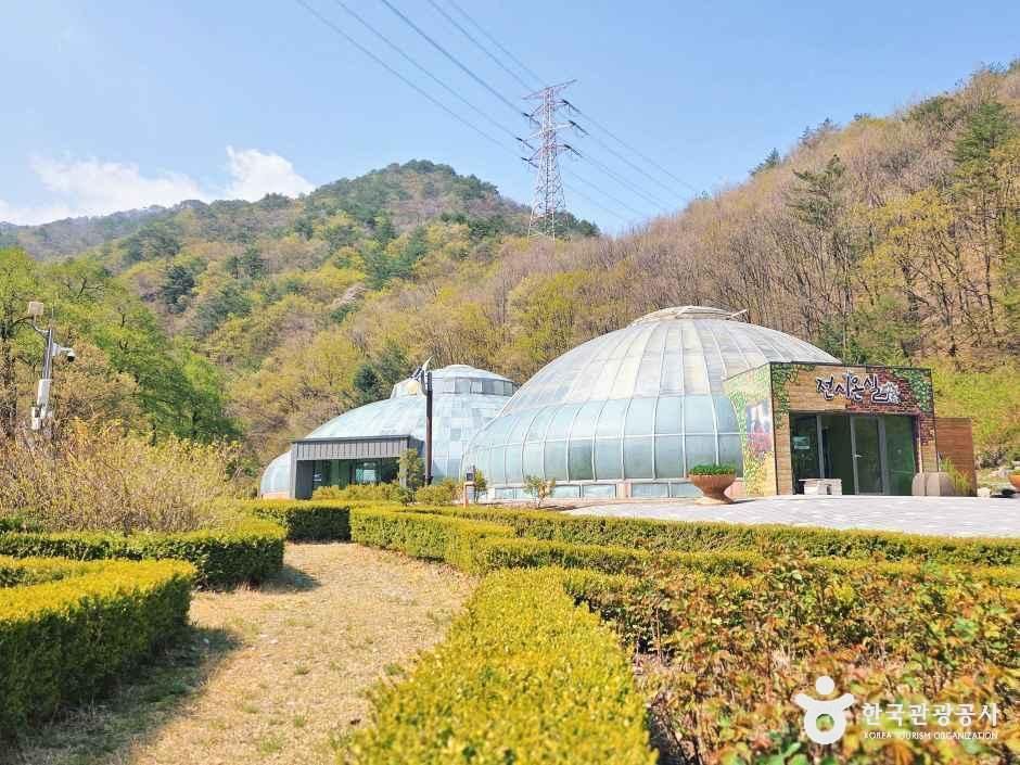 강릉 솔향수목원