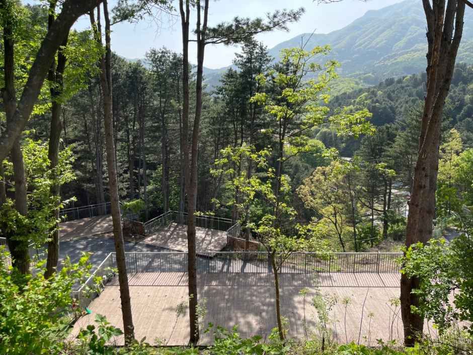 Gapyeong Mureungdowon Campground