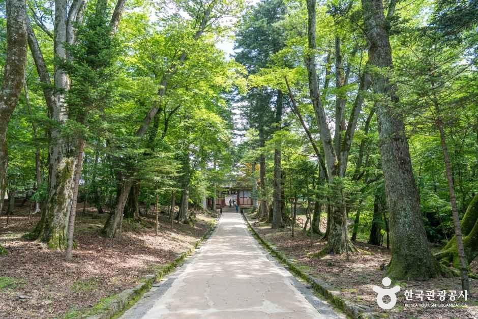 해인사(합천)