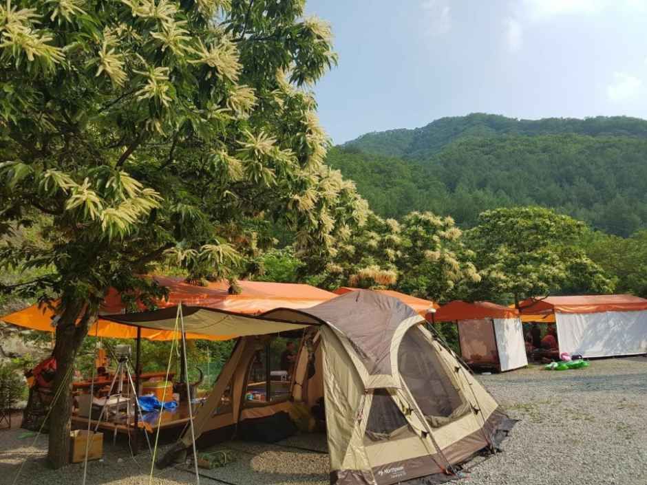 별천지야영장