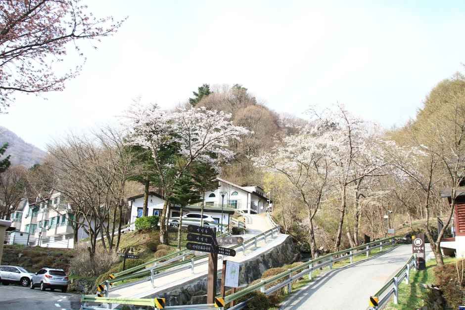 국립지리산자연휴양림
