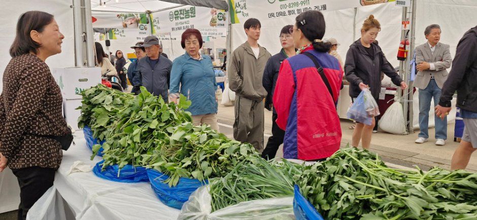 Hongcheon Wild Greens Festival