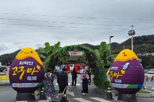 원주농협 치악산 고구마축제